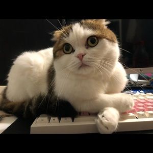 Meet your Posher, Gloria